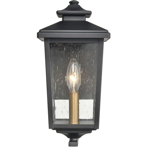 Eldrick 1 Light 12.25 inch Powder Coated Black Outdoor Wall Sconce